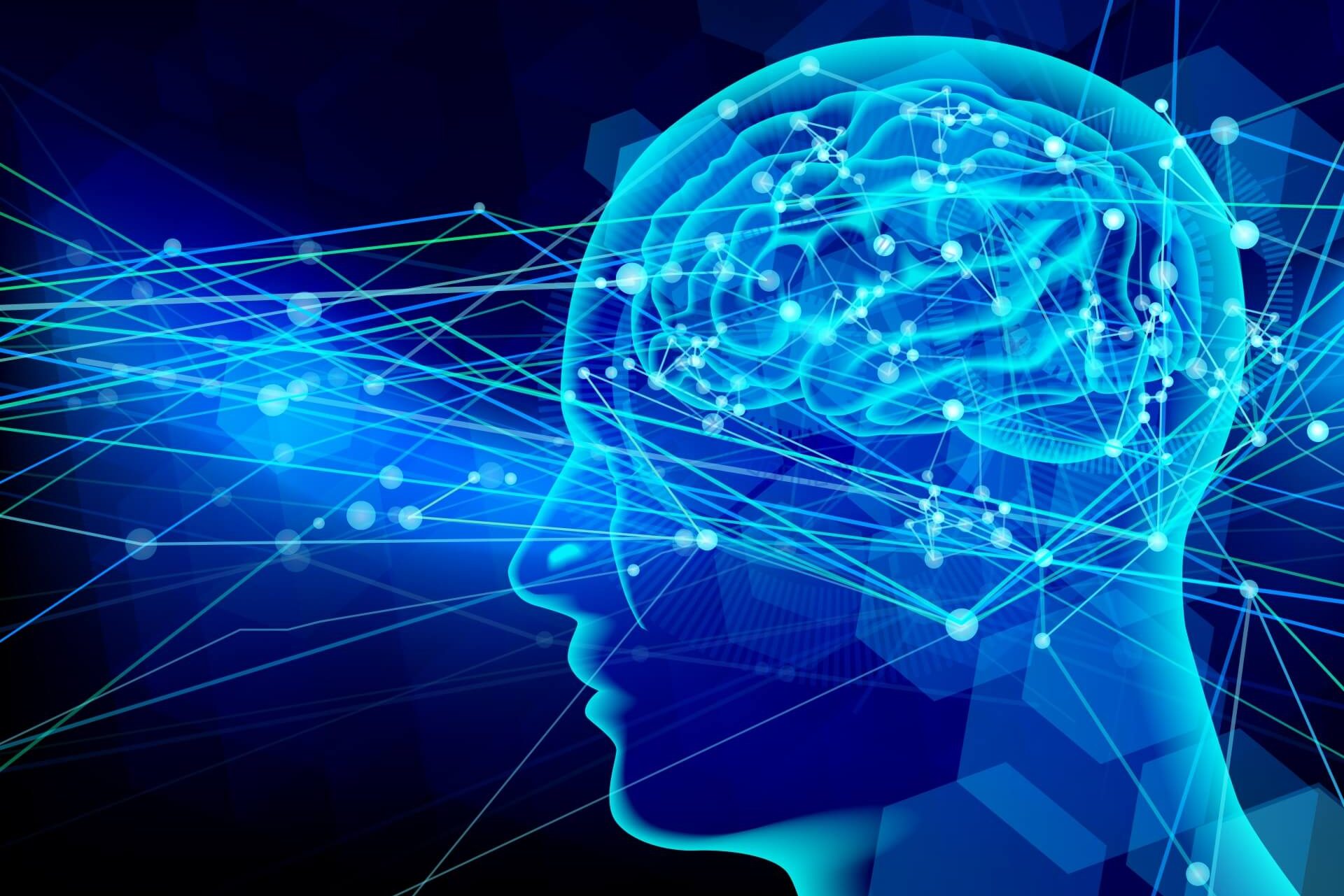 brain